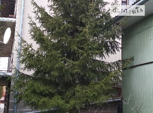 двухэтажный дом с садом, 350 кв. м, кирпич. Продажа в Тернополе район Дружба фото 1 двухэтажный дом с садом, 350 кв. м, кирпич. Продажа в Тернополе район Дружба фото 1