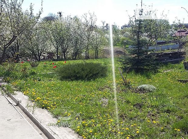 двухэтажный дом с гаражом, 260 кв. м, кирпич. Продажа в Гаях Ходоровских (Тернопольская обл.) фото 1 двухэтажный дом с гаражом, 260 кв. м, кирпич. Продажа в Гаях Ходоровских (Тернопольская обл.) фото 1