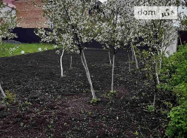 двухэтажный дом с камином, 263 кв. м, кирпич. Продажа в Гаях-Шевченковских (Тернопольская обл.) фото 1 двухэтажный дом с камином, 263 кв. м, кирпич. Продажа в Гаях-Шевченковских (Тернопольская обл.) фото 1