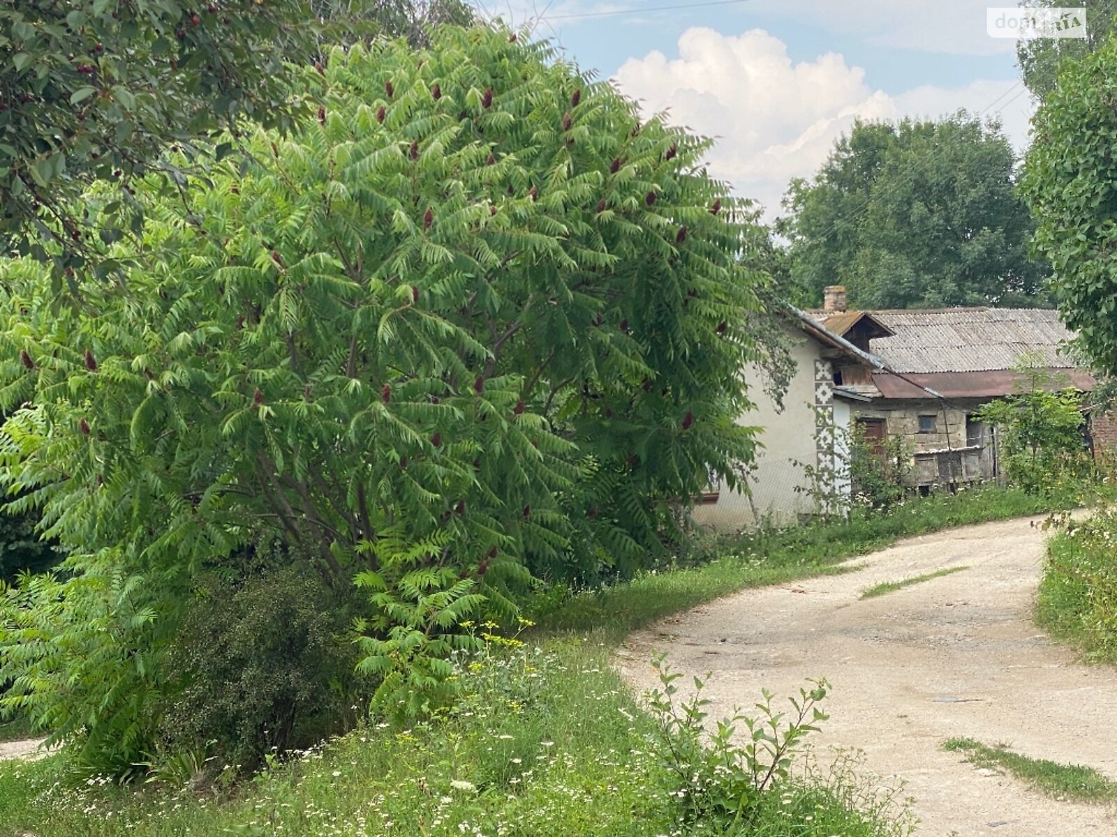 одноповерховий будинок з опаленням, 67 кв. м, цегла. Продаж у Івачеві Долішньому фото 1 одноповерховий будинок з опаленням, 67 кв. м, цегла. Продаж у Івачеві Долішньому фото 1