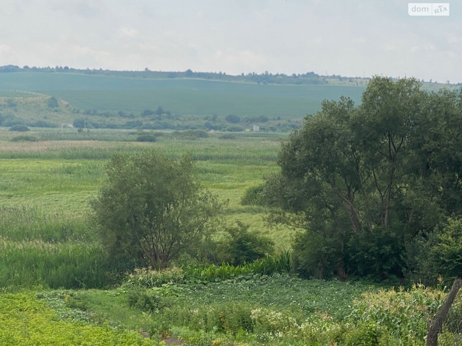 одноповерховий будинок з опаленням, 67 кв. м, цегла. Продаж у Івачеві Долішньому фото 1 одноповерховий будинок з опаленням, 67 кв. м, цегла. Продаж у Івачеві Долішньому фото 1