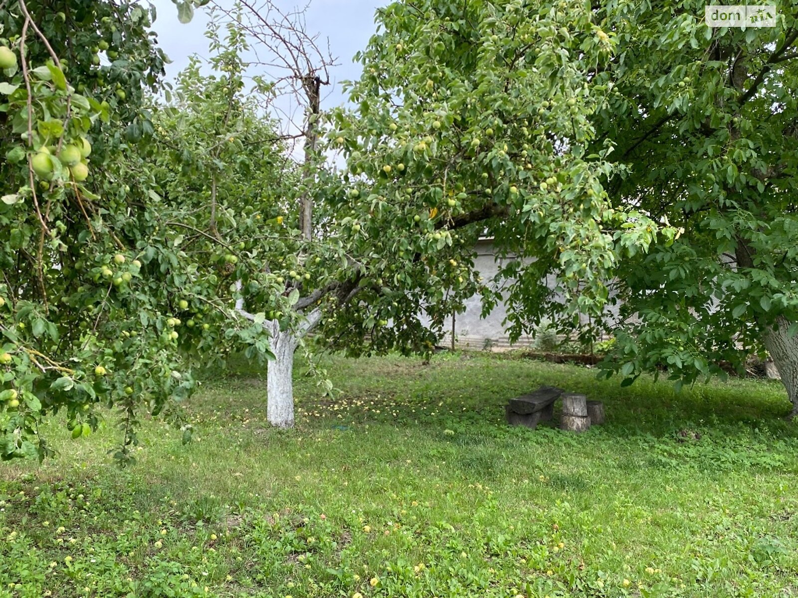 одноповерховий будинок з опаленням, 67 кв. м, цегла. Продаж у Івачеві Долішньому фото 1 одноповерховий будинок з опаленням, 67 кв. м, цегла. Продаж у Івачеві Долішньому фото 1