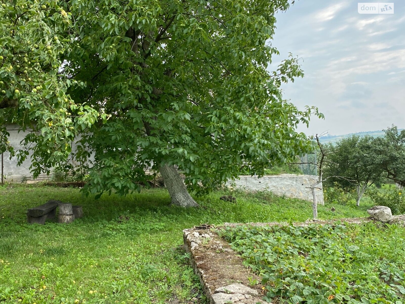 одноповерховий будинок з опаленням, 67 кв. м, цегла. Продаж у Івачеві Долішньому фото 1 одноповерховий будинок з опаленням, 67 кв. м, цегла. Продаж у Івачеві Долішньому фото 1