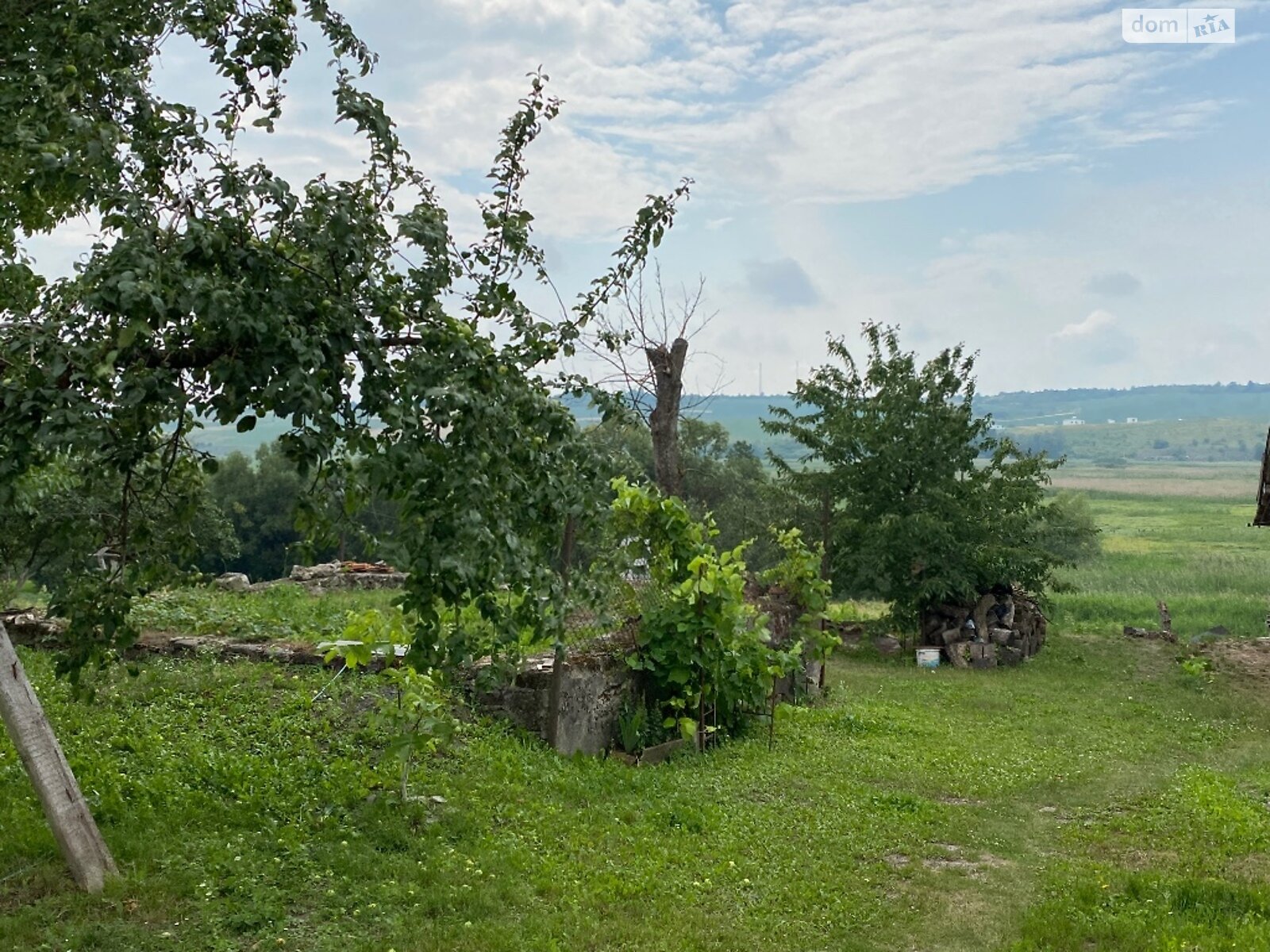 одноповерховий будинок з опаленням, 67 кв. м, цегла. Продаж у Івачеві Долішньому фото 1 одноповерховий будинок з опаленням, 67 кв. м, цегла. Продаж у Івачеві Долішньому фото 1