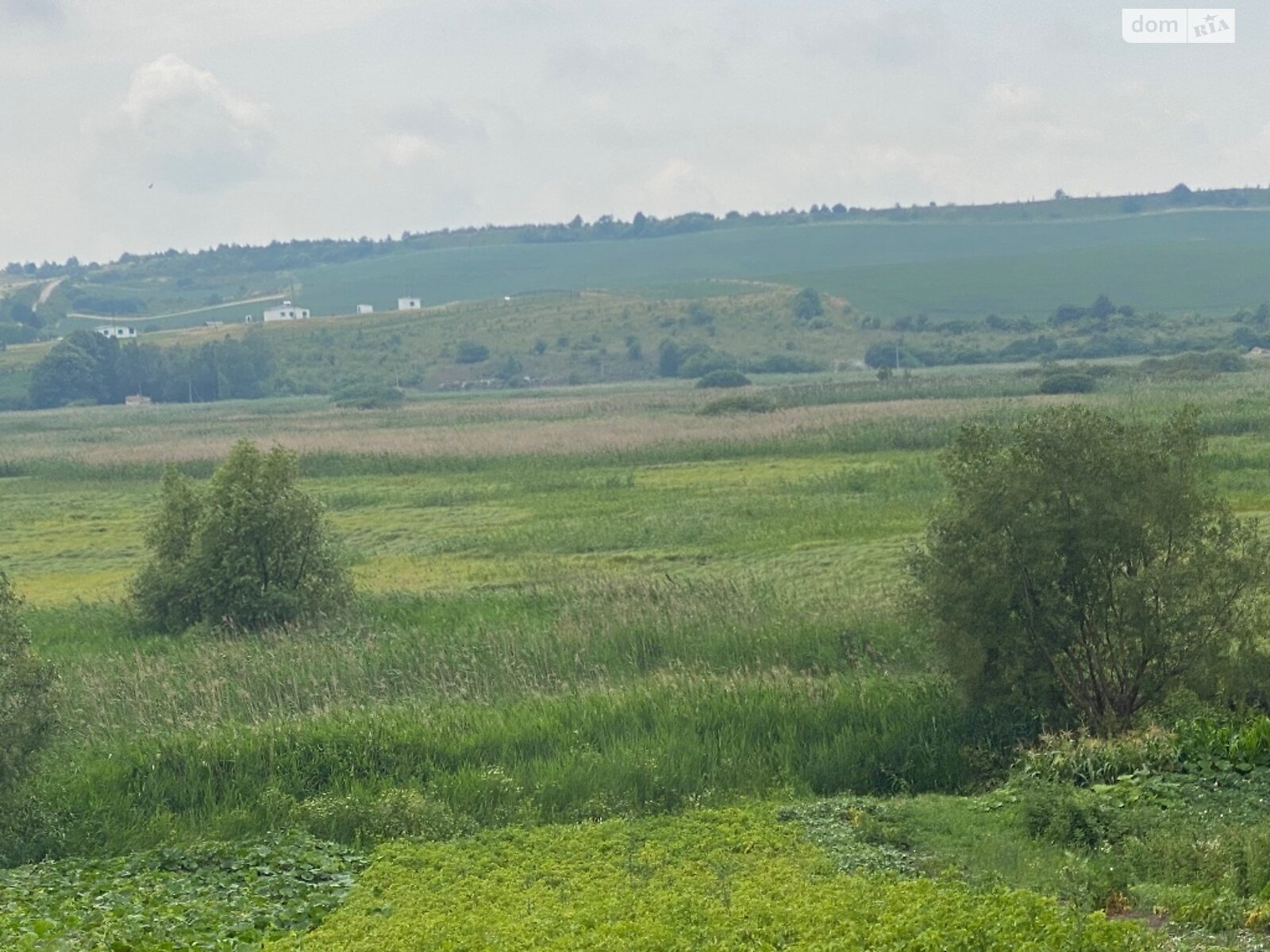 одноповерховий будинок з опаленням, 67 кв. м, цегла. Продаж у Івачеві Долішньому фото 1 одноповерховий будинок з опаленням, 67 кв. м, цегла. Продаж у Івачеві Долішньому фото 1