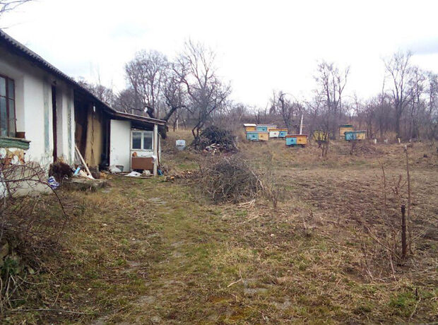 одноэтажный дом с садом, 50 кв. м, кирпич. Продажа в Ивачеву Горишнему (Тернопольская обл.) фото 1 одноэтажный дом с садом, 50 кв. м, кирпич. Продажа в Ивачеву Горишнему (Тернопольская обл.) фото 1
