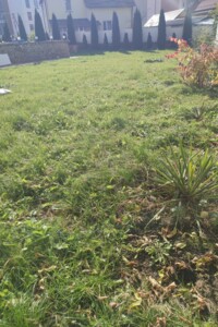 двухэтажный дом, 330 кв. м, кирпич. Продажа в Тернополе район Кутковцы фото 2