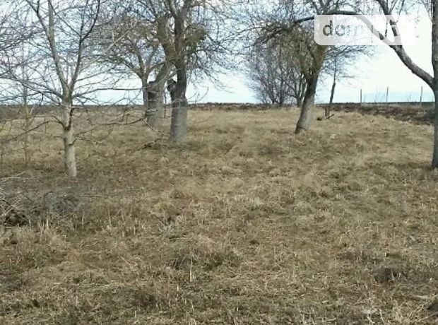 одноэтажный дом с садом, 45 кв. м, кирпич. Продажа в Малом Ходачкове (Тернопольская обл.) фото 1 одноэтажный дом с садом, 45 кв. м, кирпич. Продажа в Малом Ходачкове (Тернопольская обл.) фото 1