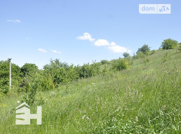 одноэтажный дом с садом, 206 кв. м, кирпич. Продажа в Миролюбовке (Тернопольская обл.) фото 1 одноэтажный дом с садом, 206 кв. м, кирпич. Продажа в Миролюбовке (Тернопольская обл.) фото 1