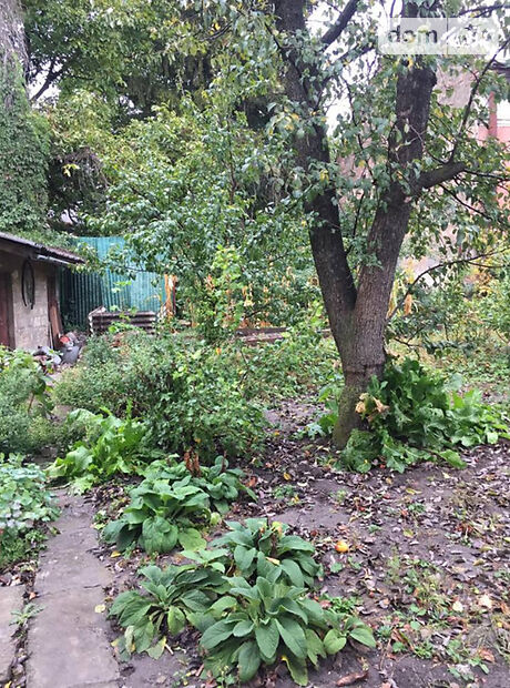 одноэтажный дом, 50 кв. м, кирпич. Продажа в Мишковичах (Тернопольская обл.) фото 2 одноэтажный дом, 50 кв. м, кирпич. Продажа в Мишковичах (Тернопольская обл.) фото 2