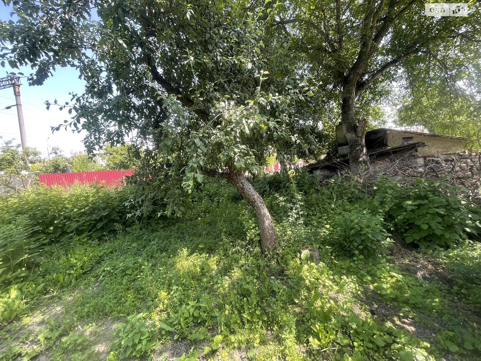 одноповерховий будинок, 40 кв. м, цегла. Продаж в Тернополі, район Центр фото 1 одноповерховий будинок, 40 кв. м, цегла. Продаж в Тернополі, район Центр фото 1