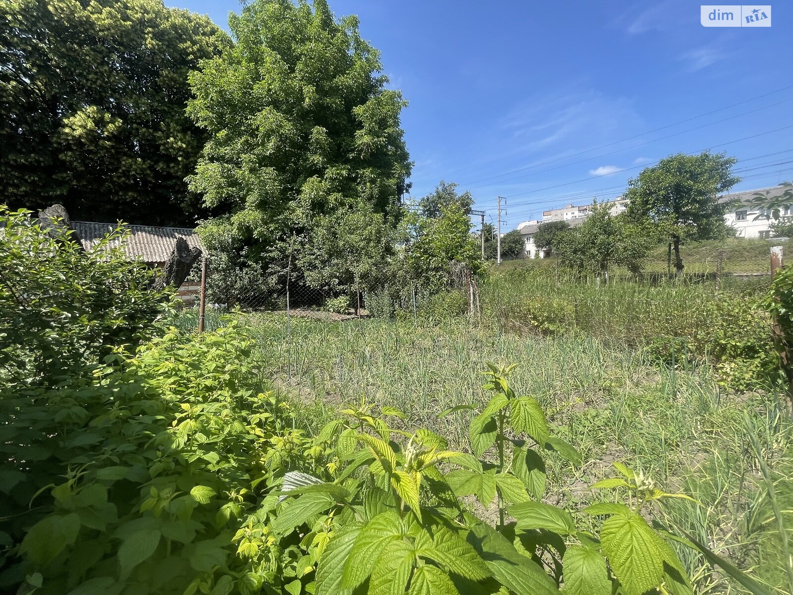 одноповерховий будинок, 40 кв. м, цегла. Продаж в Тернополі, район Центр фото 1 одноповерховий будинок, 40 кв. м, цегла. Продаж в Тернополі, район Центр фото 1