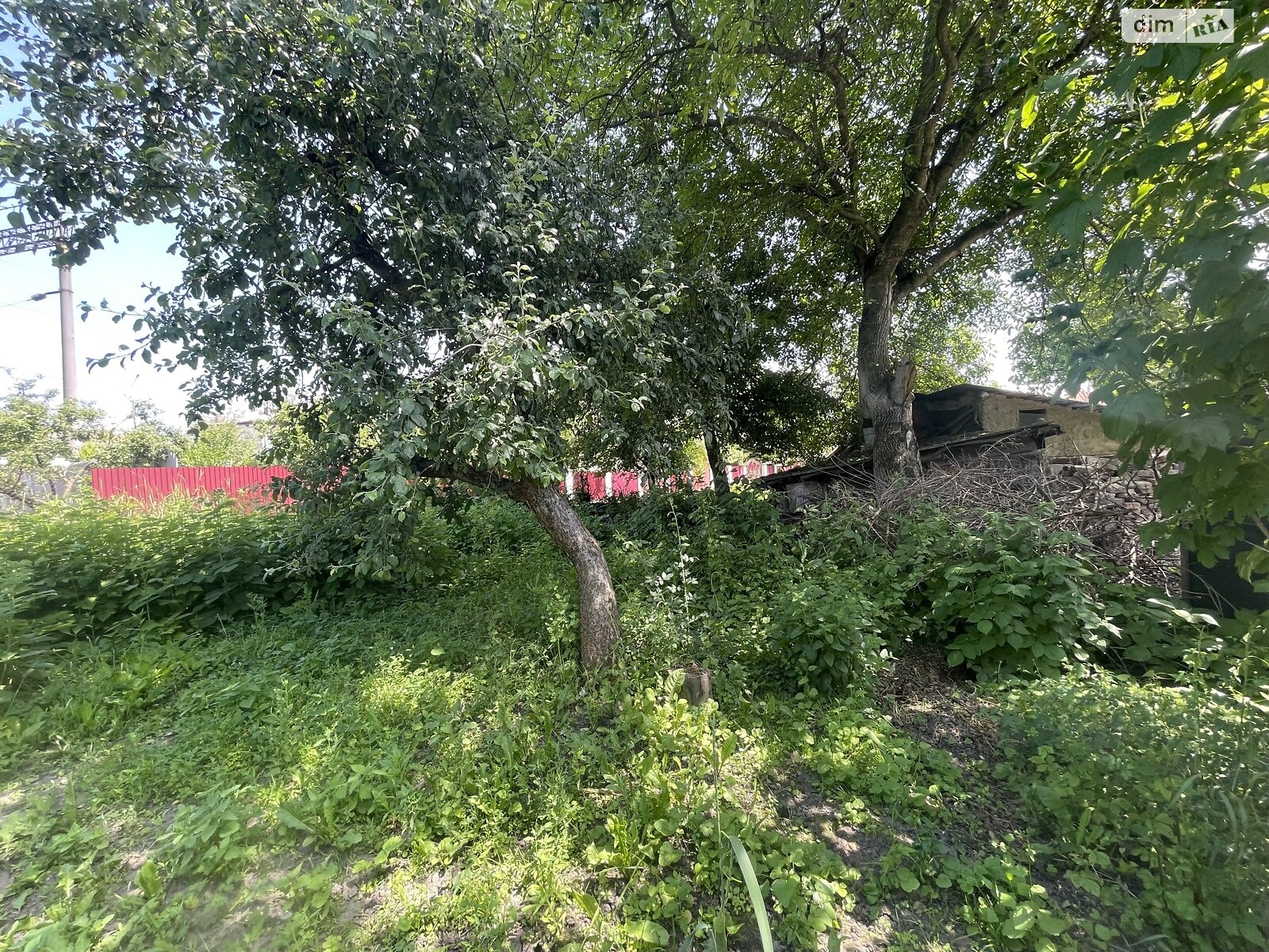 одноповерховий будинок, 40 кв. м, цегла. Продаж в Тернополі, район Центр фото 1 одноповерховий будинок, 40 кв. м, цегла. Продаж в Тернополі, район Центр фото 1