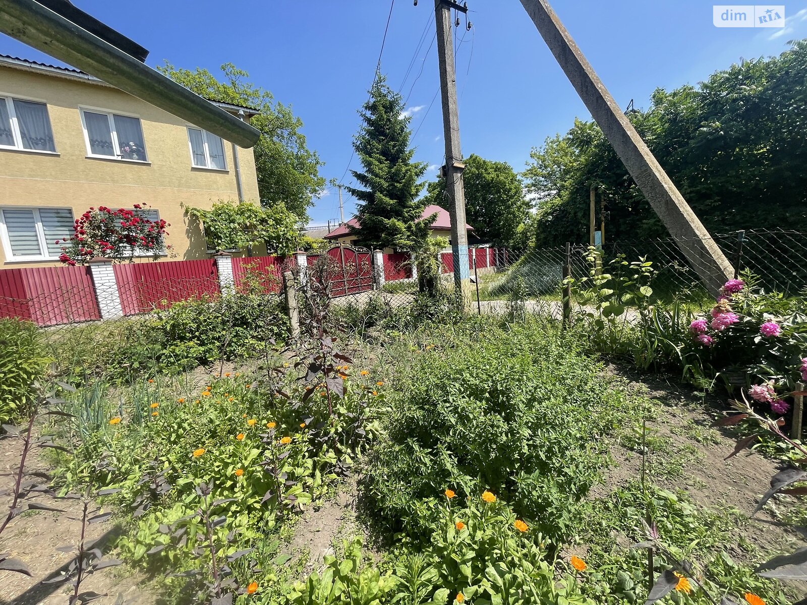 одноповерховий будинок, 40 кв. м, цегла. Продаж в Тернополі, район Центр фото 1 одноповерховий будинок, 40 кв. м, цегла. Продаж в Тернополі, район Центр фото 1