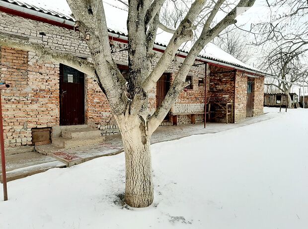 двухэтажный дом, 232 кв. м, кирпич. Продажа в Смиковци (Тернопольская обл.) фото 1 двухэтажный дом, 232 кв. м, кирпич. Продажа в Смиковци (Тернопольская обл.) фото 1