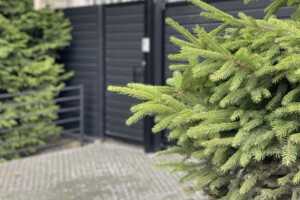 двухэтажный дом, 249.4 кв. м, кирпич. Продажа в Тернополе район Центр фото 2
