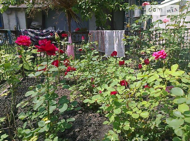 одноэтажный дом с садом, 76 кв. м, кирпич. Продажа в Тернополе район Центр фото 1 одноэтажный дом с садом, 76 кв. м, кирпич. Продажа в Тернополе район Центр фото 1