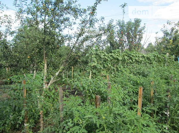 двухэтажный дом с садом, 125 кв. м, кирпич. Продажа в Великих Гаях (Тернопольская обл.) фото 1 двухэтажный дом с садом, 125 кв. м, кирпич. Продажа в Великих Гаях (Тернопольская обл.) фото 1