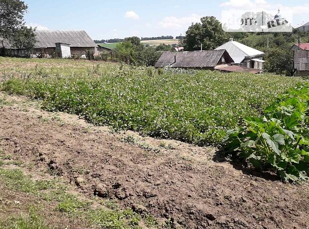одноэтажный дом с садом, 86 кв. м, кирпич. Продажа в Застенка (Тернопольская обл.) фото 1 одноэтажный дом с садом, 86 кв. м, кирпич. Продажа в Застенка (Тернопольская обл.) фото 1