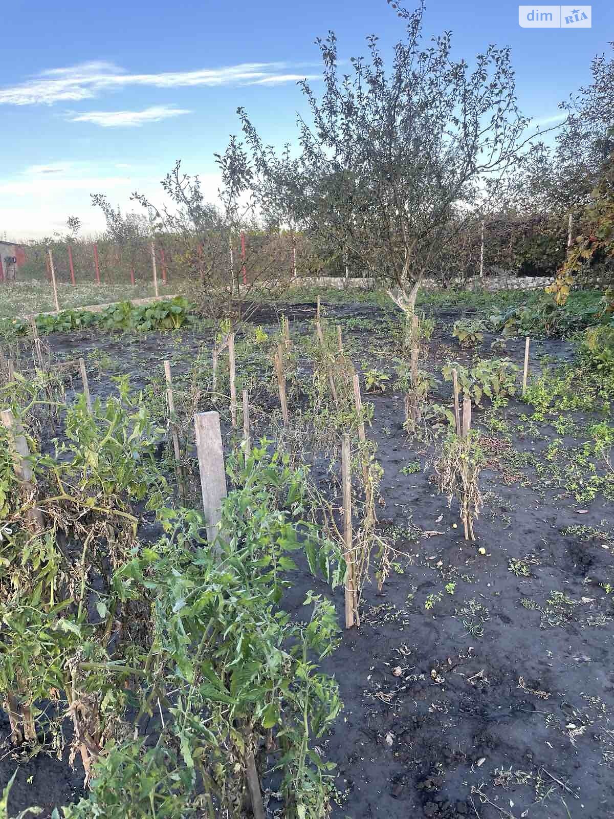 одноэтажный дом, 20 кв. м, пеноблок. Продажа в Тернополе фото 1 одноэтажный дом, 20 кв. м, пеноблок. Продажа в Тернополе фото 1