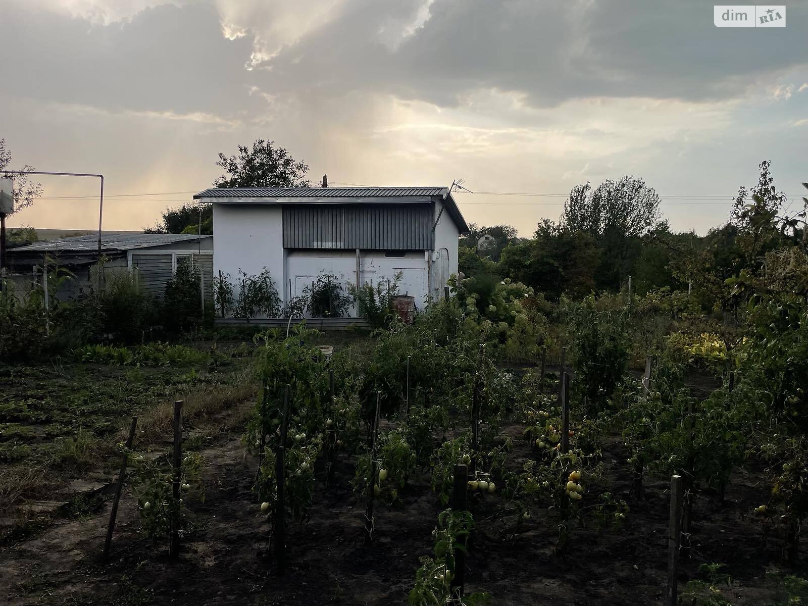 одноэтажный дом, 20 кв. м, пеноблок. Продажа в Тернополе фото 1 одноэтажный дом, 20 кв. м, пеноблок. Продажа в Тернополе фото 1