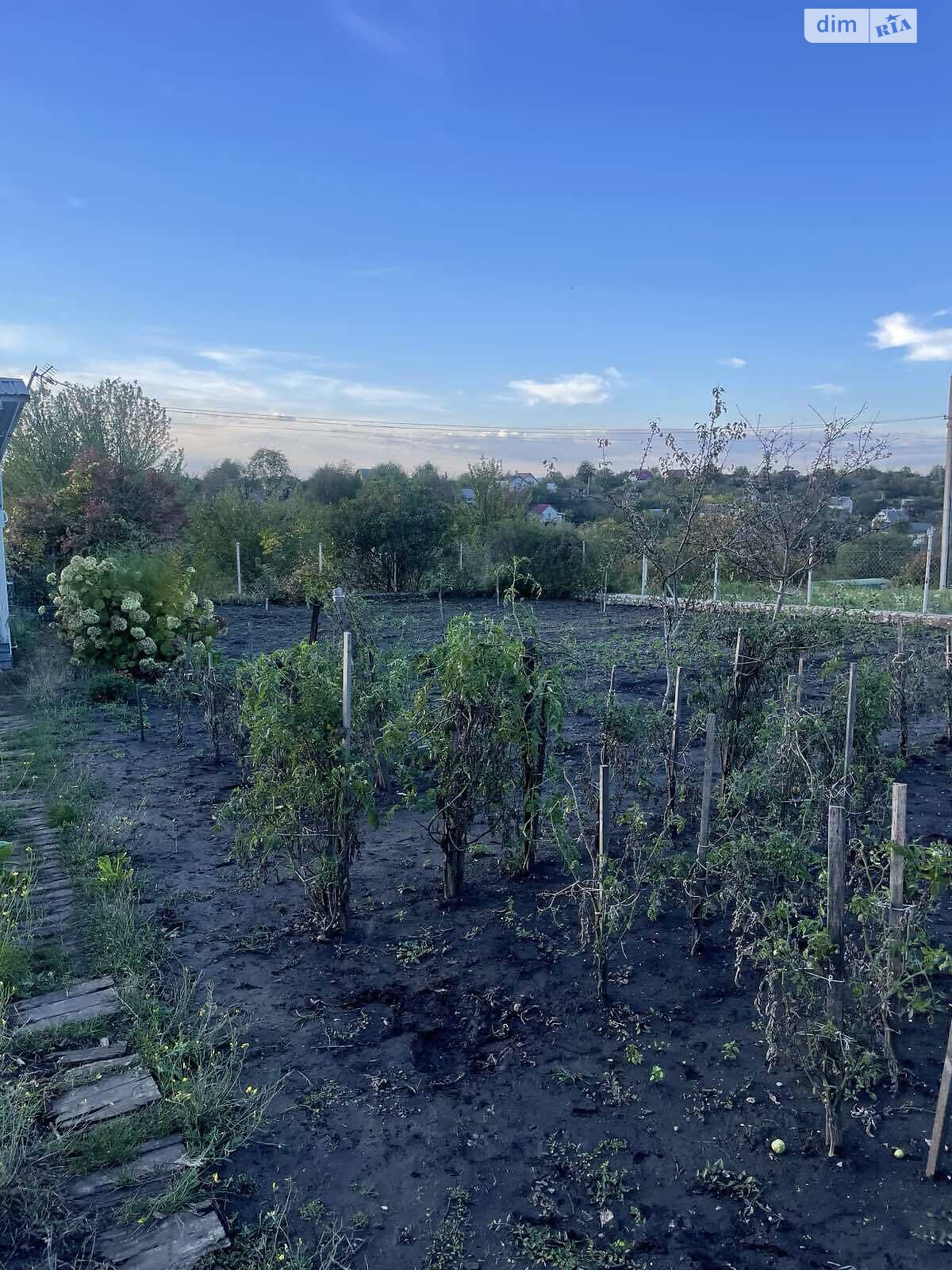 одноэтажный дом, 20 кв. м, пеноблок. Продажа в Тернополе фото 1 одноэтажный дом, 20 кв. м, пеноблок. Продажа в Тернополе фото 1