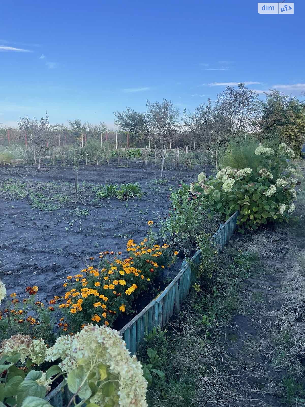 одноэтажный дом, 20 кв. м, пеноблок. Продажа в Тернополе фото 1 одноэтажный дом, 20 кв. м, пеноблок. Продажа в Тернополе фото 1