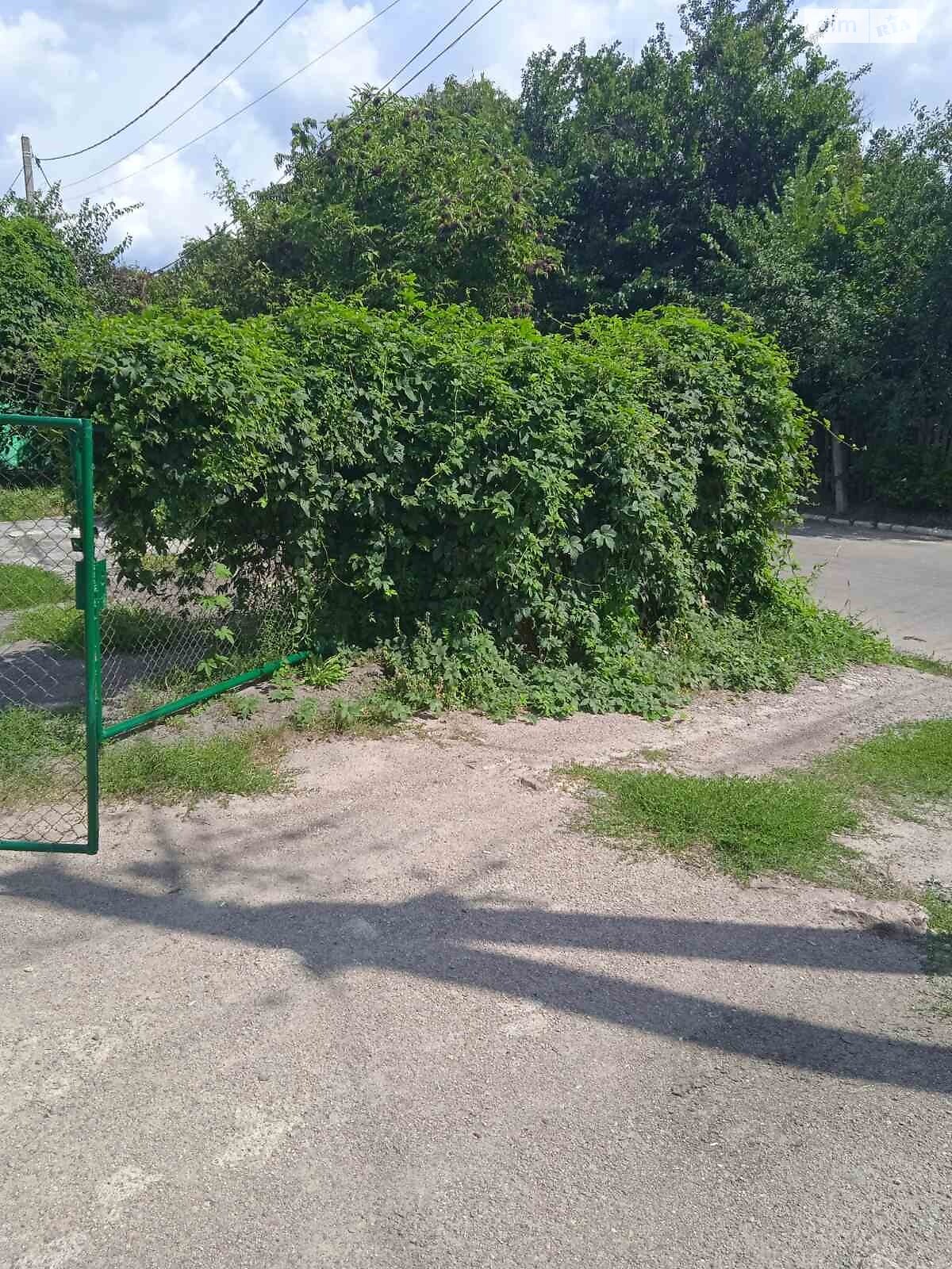 одноповерховий будинок, 60 кв. м, кирпич. Продаж у Тетієві фото 1 одноповерховий будинок, 60 кв. м, кирпич. Продаж у Тетієві фото 1