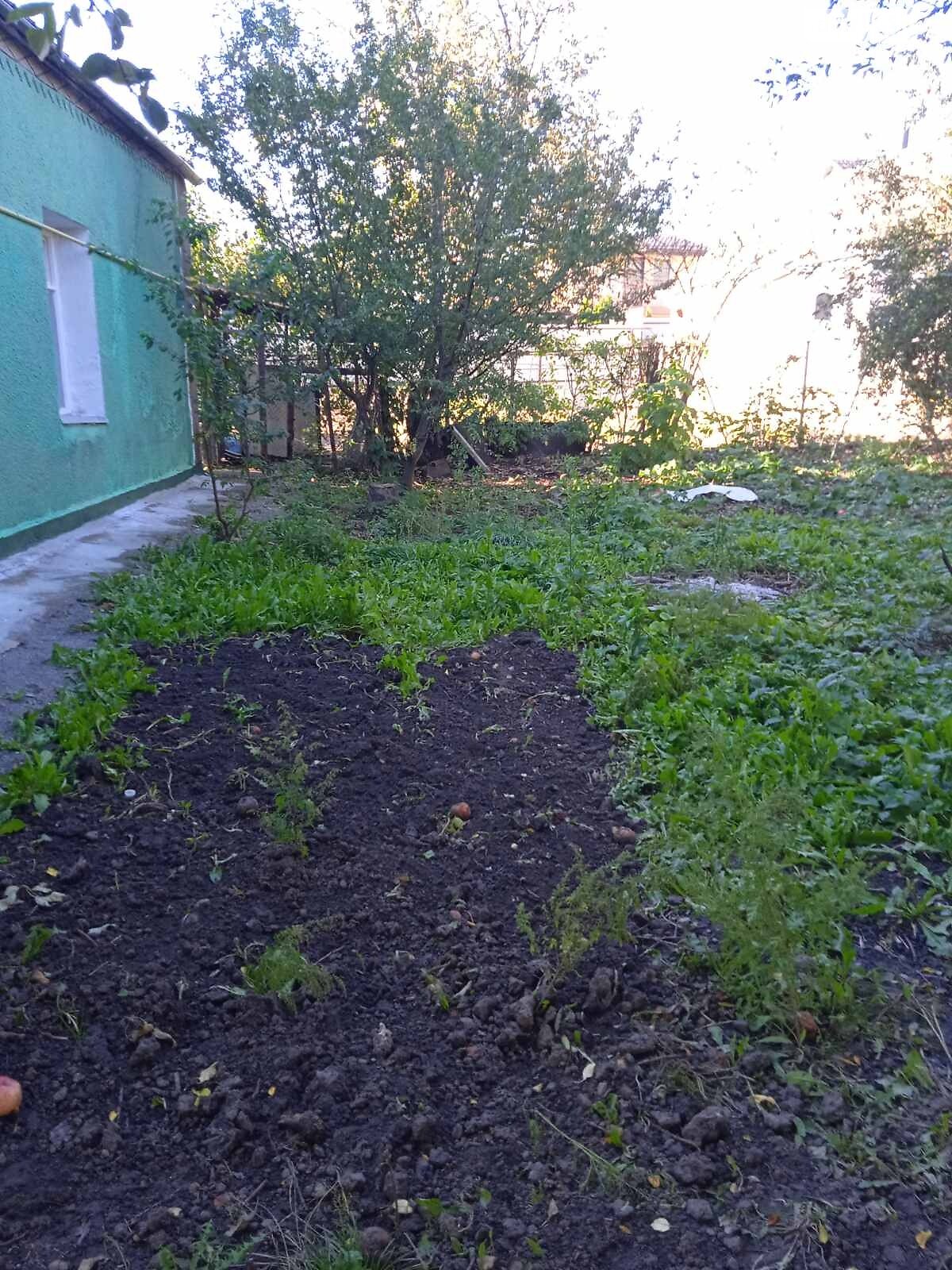 одноповерховий будинок, 60 кв. м, кирпич. Продаж у Тетієві фото 1 одноповерховий будинок, 60 кв. м, кирпич. Продаж у Тетієві фото 1