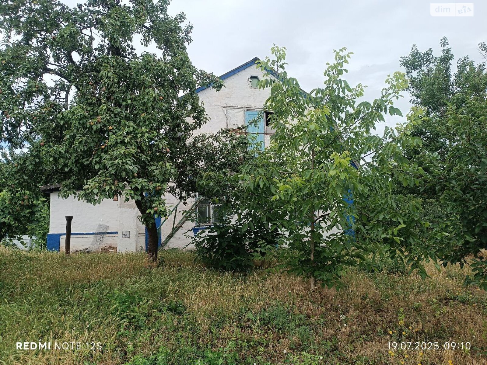 одноповерховий будинок з верандою, 68.7 кв. м, цегла. Продаж у Тетієві фото 1