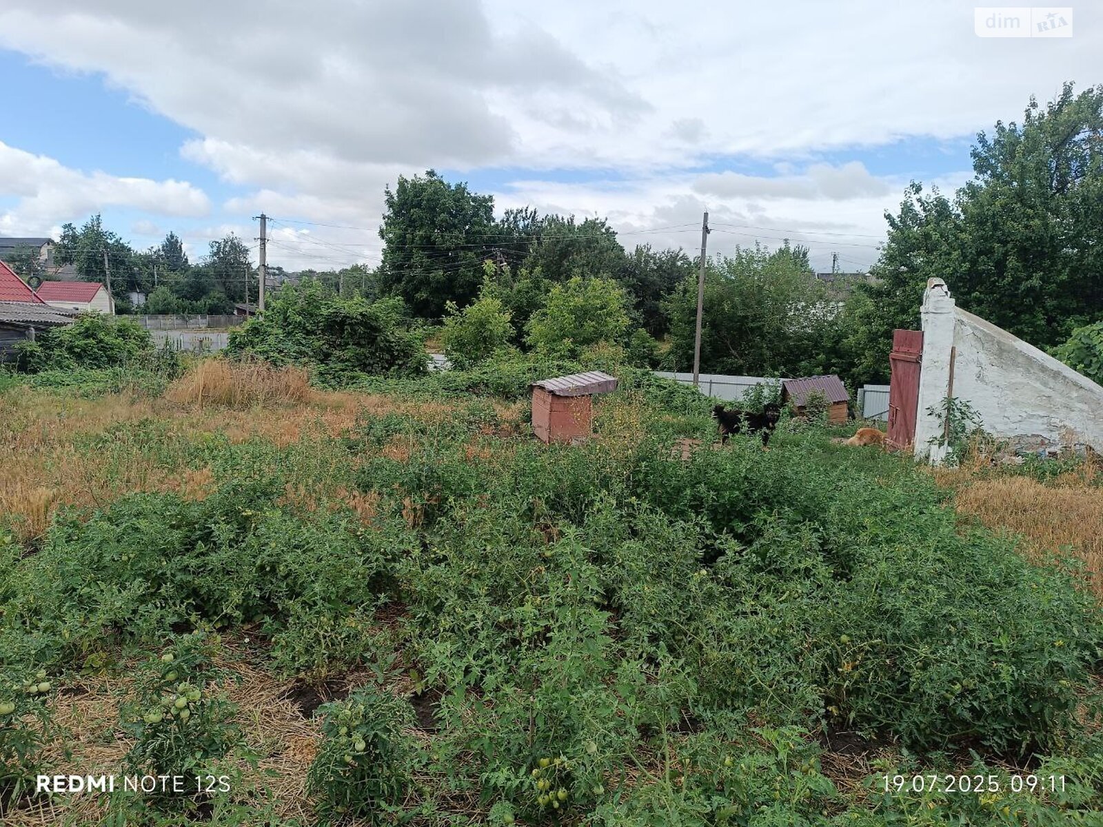 одноповерховий будинок з верандою, 68.7 кв. м, цегла. Продаж у Тетієві фото 1