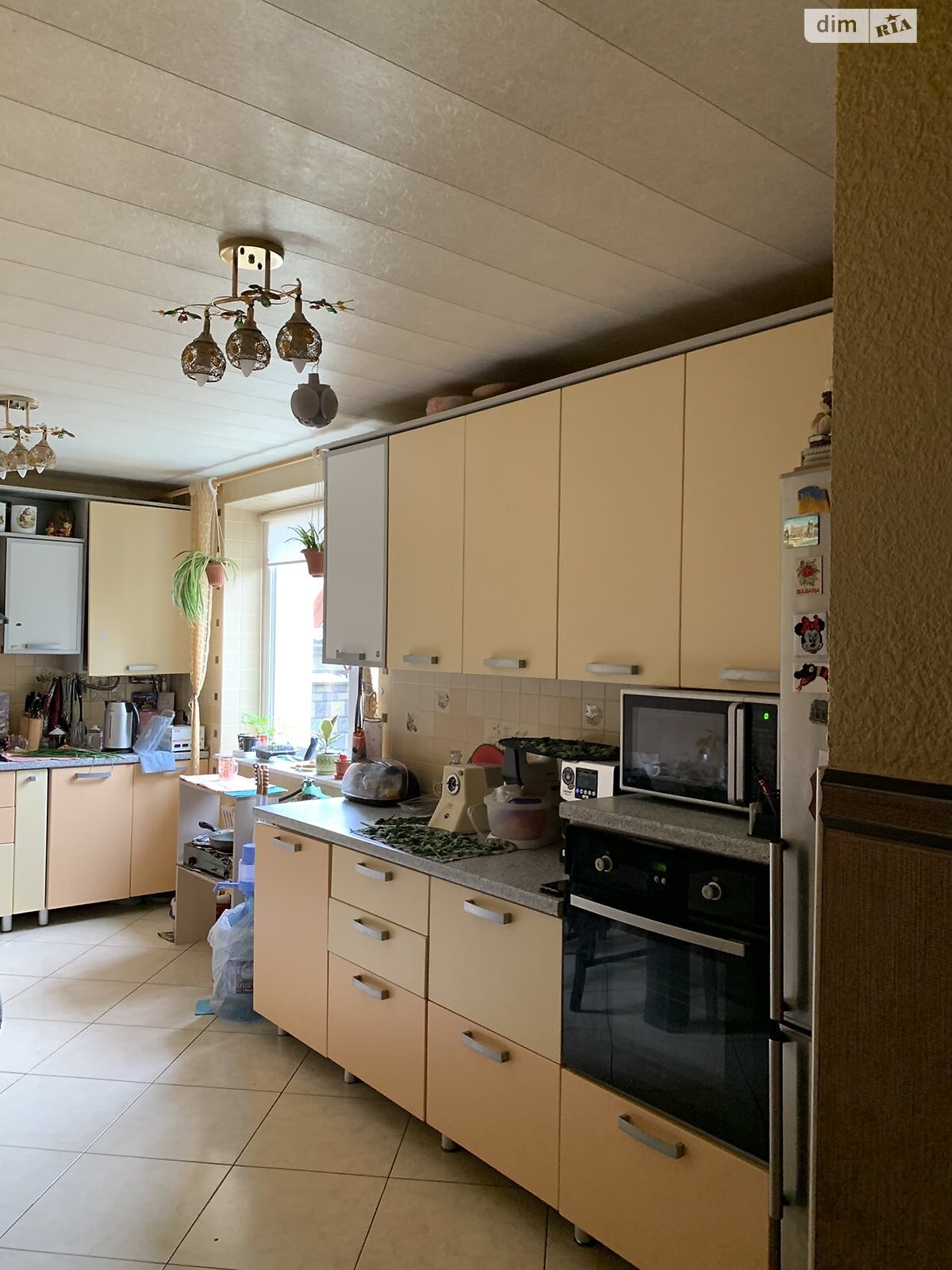 одноповерховий будинок з опаленням, 120 кв. м, цегла. Продаж у Тинном фото 1 одноповерховий будинок з опаленням, 120 кв. м, цегла. Продаж у Тинном фото 1
