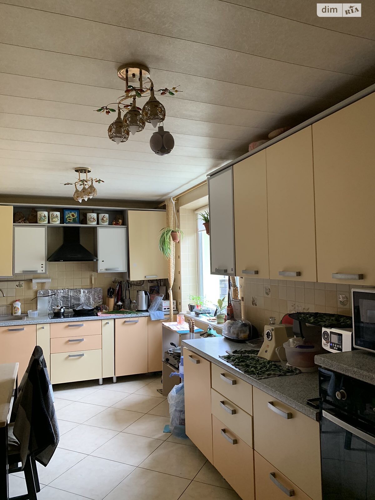 одноповерховий будинок з опаленням, 120 кв. м, цегла. Продаж у Тинном фото 1 одноповерховий будинок з опаленням, 120 кв. м, цегла. Продаж у Тинном фото 1