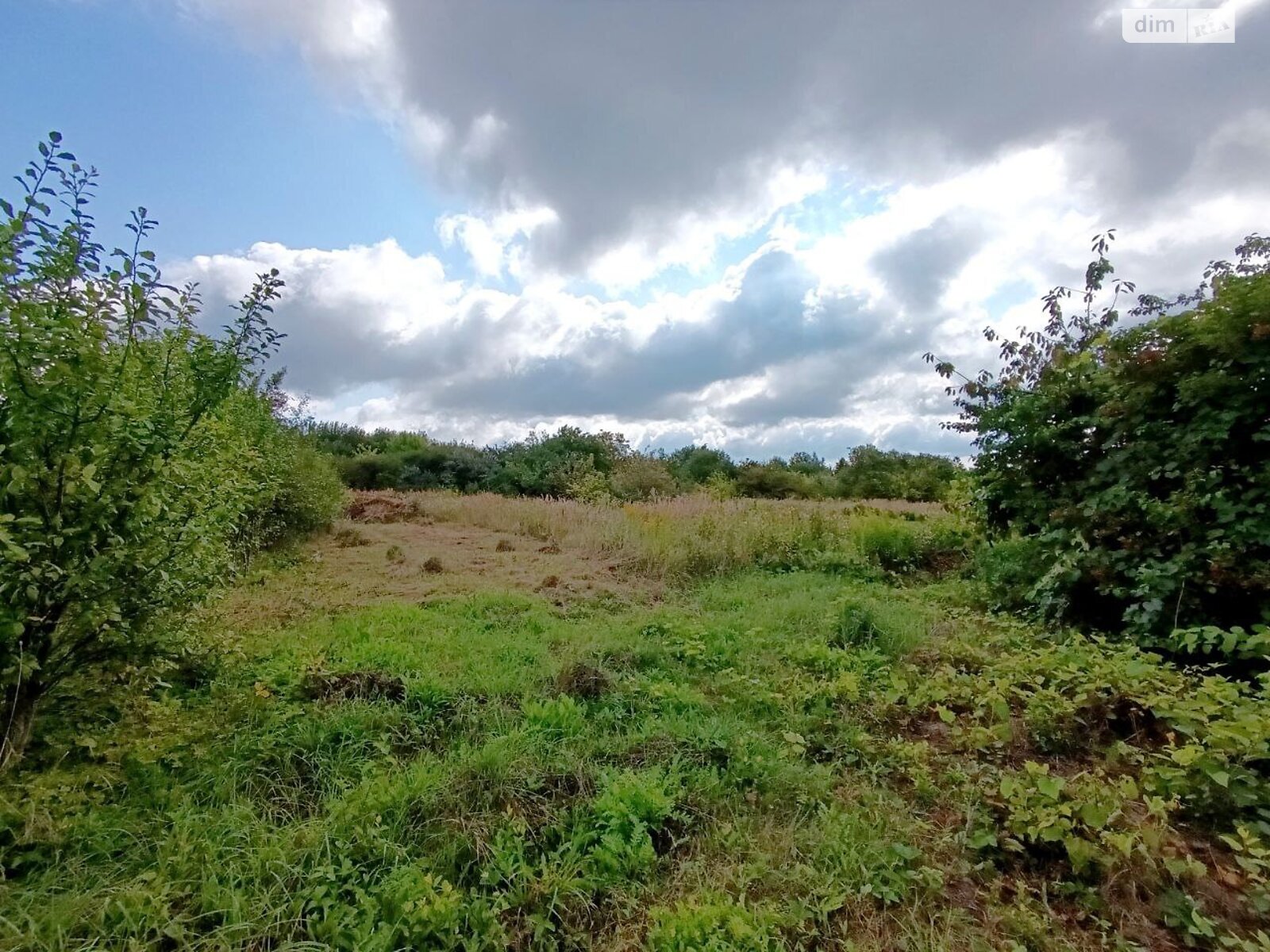 двоповерховий будинок, 80 кв. м, цегла. Продаж у Тиранівці фото 1