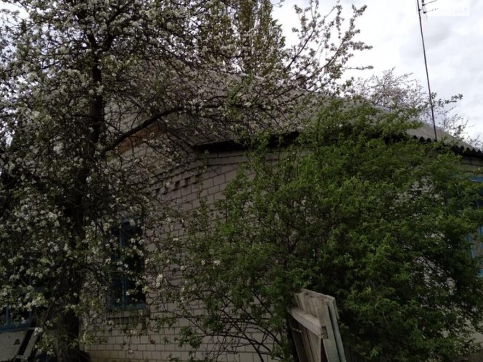 одноэтажный дом с отоплением, 133 кв. м, газобетон. Продажа в Маклаевке фото 1 одноэтажный дом с отоплением, 133 кв. м, газобетон. Продажа в Маклаевке фото 1