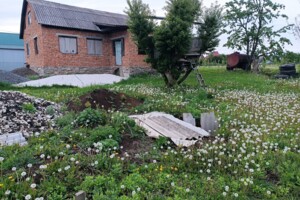 одноповерховий будинок, 120 кв. м, цегла. Продаж в Томашівці, район Південно-Західний фото 2
