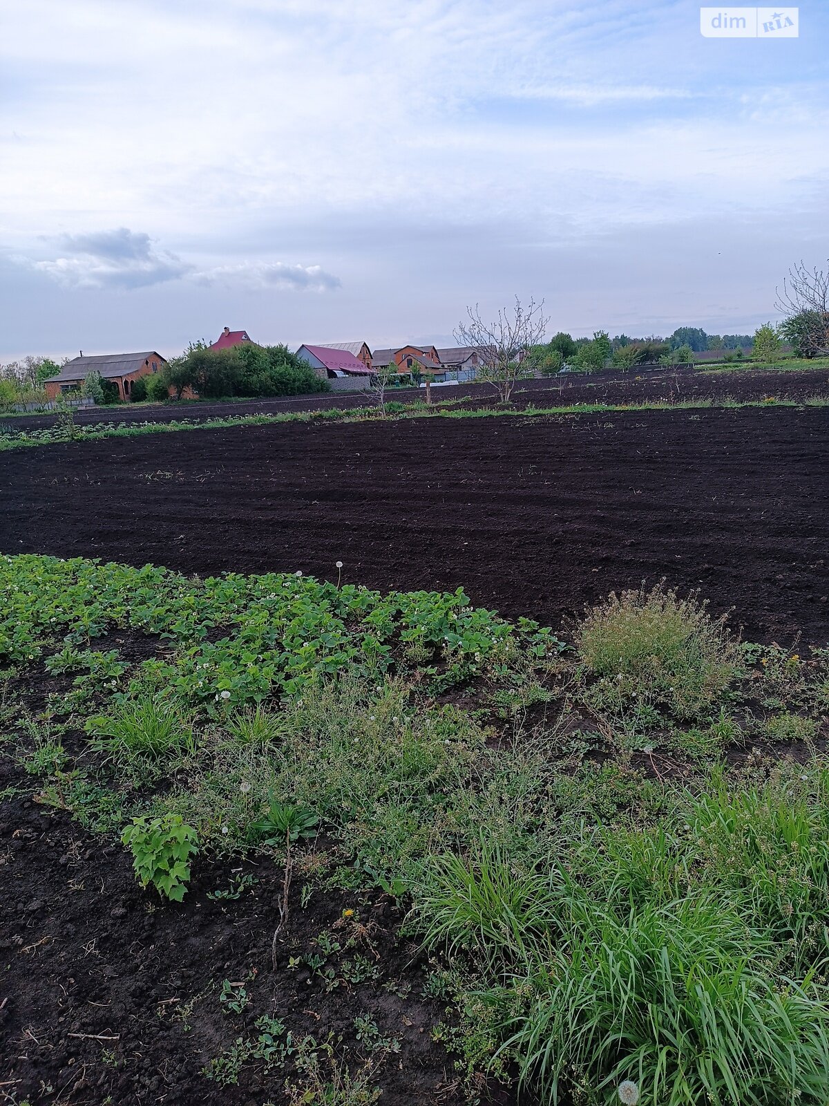 одноповерховий будинок, 120 кв. м, цегла. Продаж в Томашівці, район Південно-Західний фото 1 одноповерховий будинок, 120 кв. м, цегла. Продаж в Томашівці, район Південно-Західний фото 1