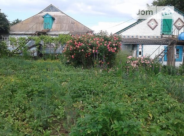 одноповерховий будинок з садом, 200 кв. м, цегла. Продаж в Томашполі, район Томашпіль фото 1 одноповерховий будинок з садом, 200 кв. м, цегла. Продаж в Томашполі, район Томашпіль фото 1