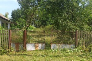 одноповерховий будинок, 40.3 кв. м, глинобитний. Продаж у Трибухівцях фото 2