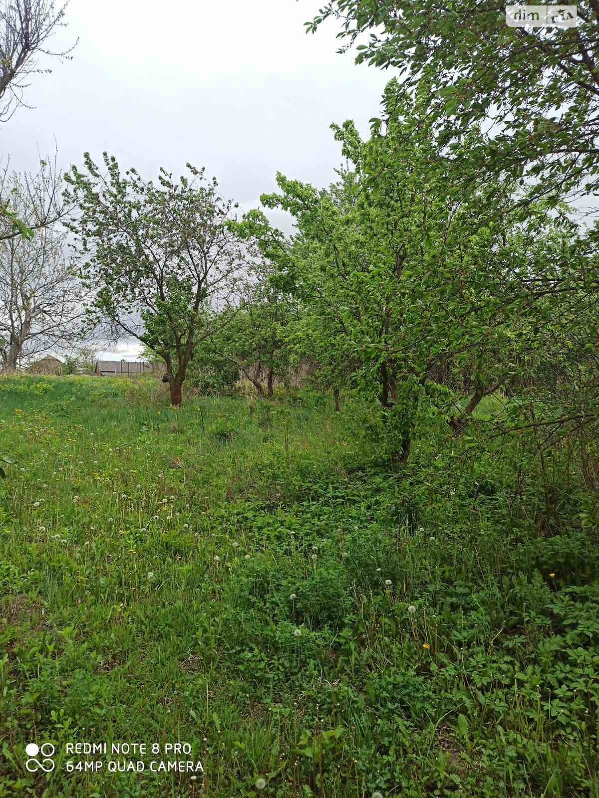 одноповерховий будинок, 40.3 кв. м, глинобитний. Продаж у Трибухівцях фото 1 одноповерховий будинок, 40.3 кв. м, глинобитний. Продаж у Трибухівцях фото 1
