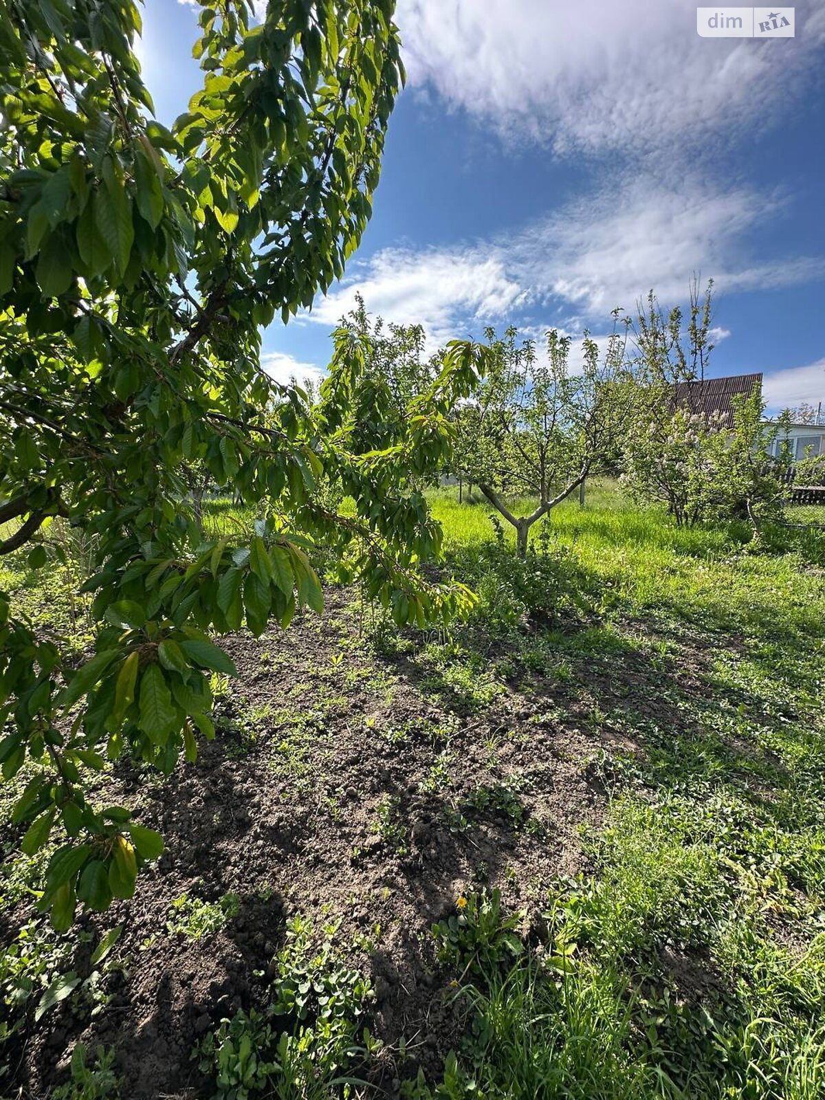 одноповерховий будинок з ремонтом, 68.8 кв. м, цегла. Продаж у Трилісах фото 1 одноповерховий будинок з ремонтом, 68.8 кв. м, цегла. Продаж у Трилісах фото 1