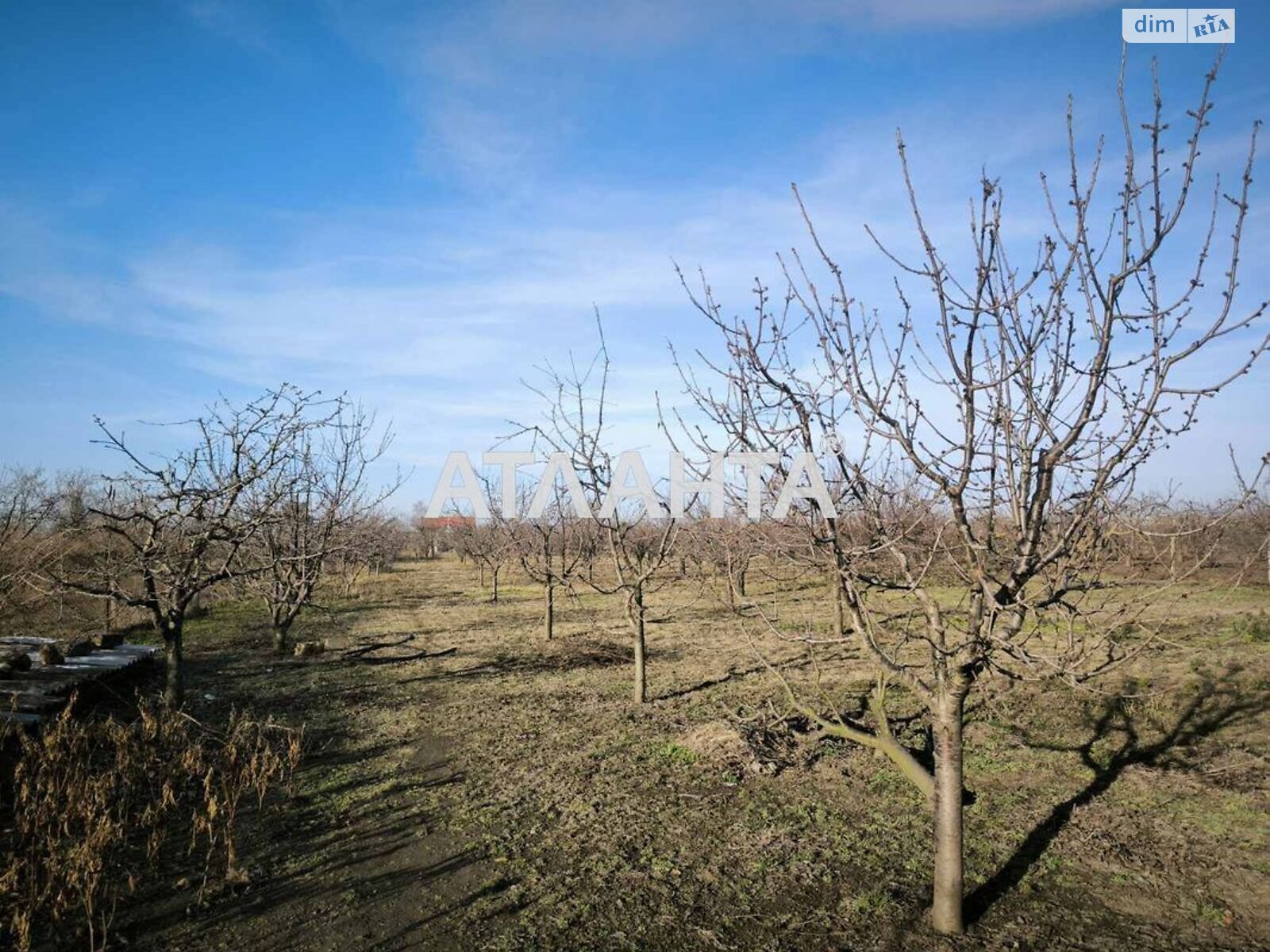 одноэтажный дом беседка, 155 кв. м, ракушечник (ракушняк). Продажа в Троицком фото 1