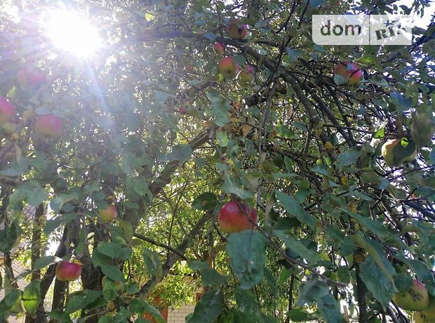 одноэтажный дом с садом, 85 кв. м, кирпич. Продажа в Ободовке (Винницкая обл.) фото 1 одноэтажный дом с садом, 85 кв. м, кирпич. Продажа в Ободовке (Винницкая обл.) фото 1