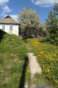 одноповерховий будинок з гаражем, 45 кв. м, цегла. Продаж у Тростянці фото 2