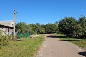 одноповерховий будинок з гаражем, 93.9 кв. м, цегла. Продаж у Трубівщині фото 2