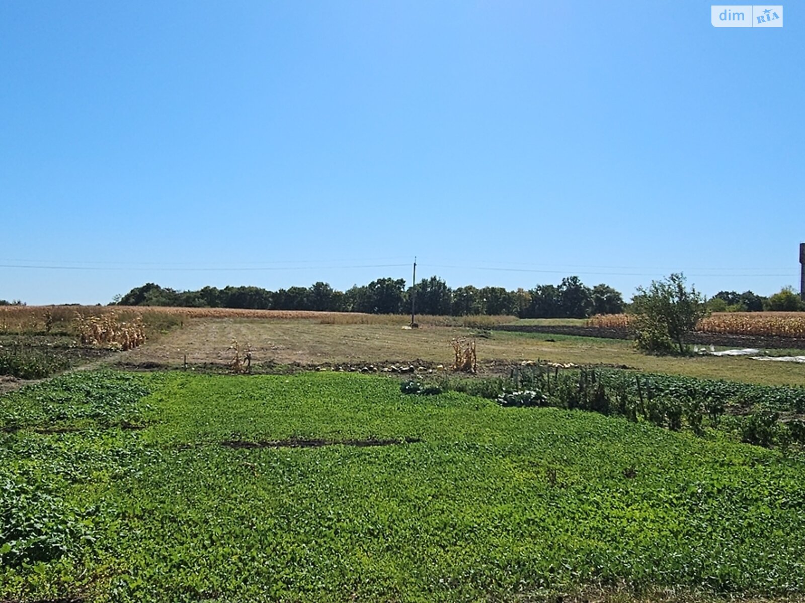 одноповерховий будинок з гаражем, 93.9 кв. м, цегла. Продаж у Трубівщині фото 1