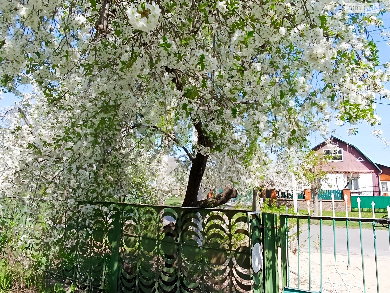 одноэтажный дом, 118 кв. м, кирпич. Продажа в Трушках фото 1 одноэтажный дом, 118 кв. м, кирпич. Продажа в Трушках фото 1