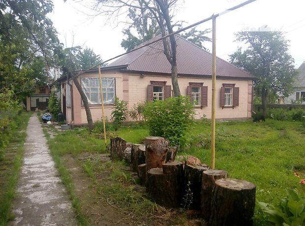 одноповерховий будинок з садом, 110 кв. м, цегла. Продаж в Лисківці (Дніпропетровська обл.) фото 1 одноповерховий будинок з садом, 110 кв. м, цегла. Продаж в Лисківці (Дніпропетровська обл.) фото 1