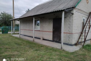 одноэтажный дом с гаражом, 68 кв. м, кирпич. Продажа в Царичанке фото 2