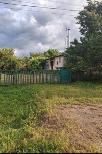 одноэтажный дом с отоплением, 51.4 кв. м, кирпич. Продажа в Царичанке район Царичанка фото 2
